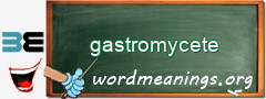 WordMeaning blackboard for gastromycete